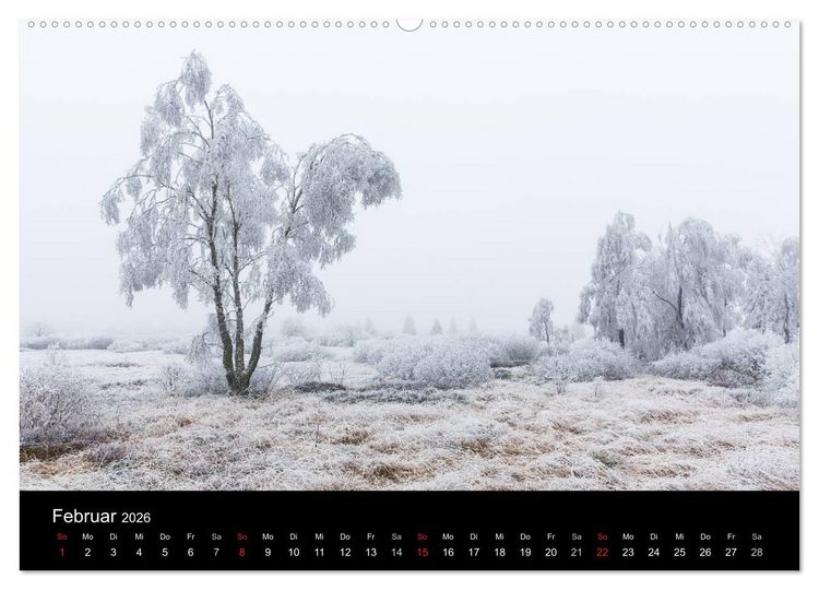 Produktbild: HOHES VENN - Einblicke in ein Hochmoor (hochwertiger Premium Wandkalender 2026 DIN A2 quer), Kunstdruck in Hochglanz