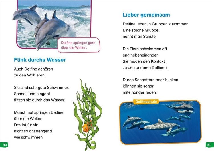 Produktbild: WAS IST WAS Erstes Lesen easy! Band 2. Tiere im Meer