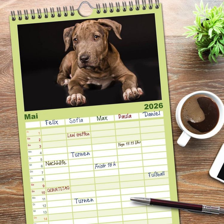 Produktbild: Familienplaner 2026 - American Staff und Co. mit 5 Spalten (Wandkalender, 21 x 45 cm) CALVENDO