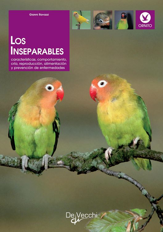 Produktbild: Los inseparables