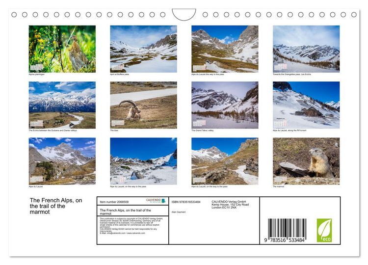 Produktbild: The French Alps, on the trail of the marmot (Wall Calendar 2026 DIN A4 landscape), CALVENDO 12 Month Wall Calendar