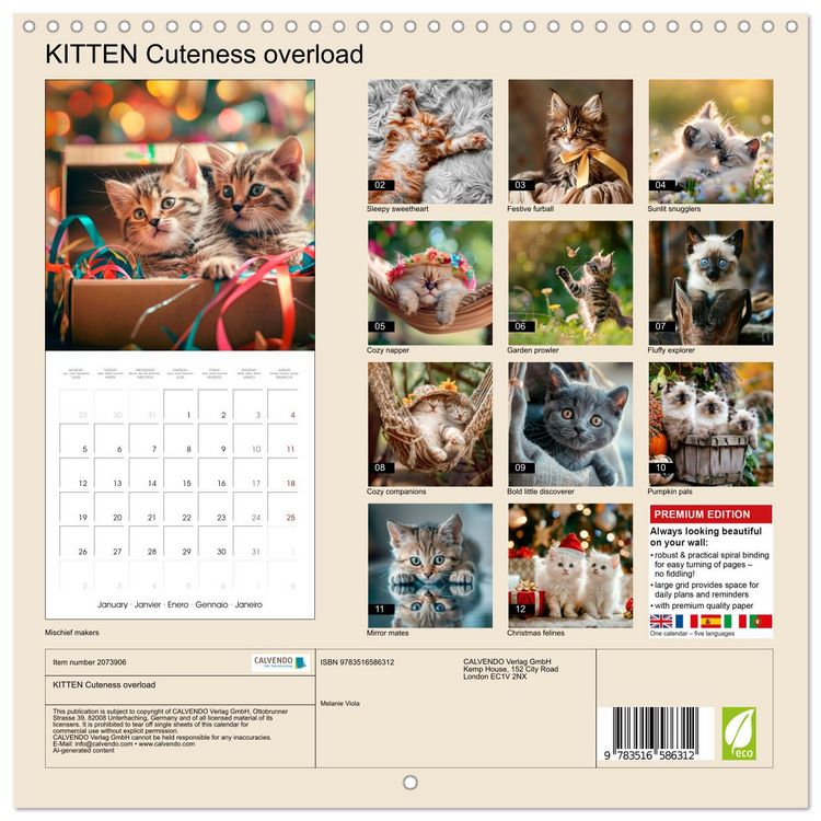 Produktbild: KITTEN Cuteness overload (Wall Calendar 2026 12 &times; 12 Inch) CALVENDO 12 Month Wall Calendar