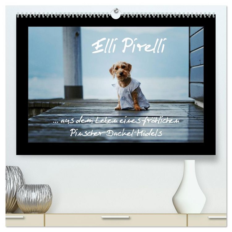 Produktbild: Elli Pirelli... aus dem Leben eines fr&ouml;hlichen Pinscher-Dackel-M&auml;dels (hochwertiger Premium Wandkalender 2026 DIN A2 quer), Kunstdruck in Hochglanz