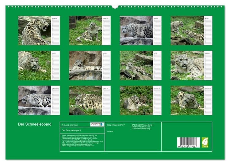 Produktbild: Der Schneeleopard (hochwertiger Premium Wandkalender 2026 DIN A2 quer), Kunstdruck in Hochglanz