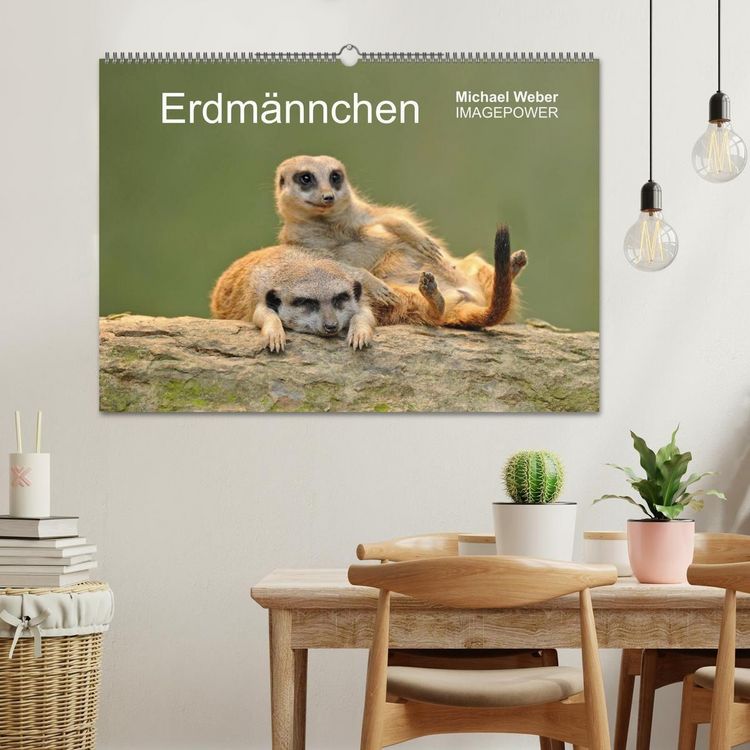 Produktbild: Erdm&auml;nnchen - Tierkinder (Wandkalender 2027 DIN A2 quer), CALVENDO Monatskalender