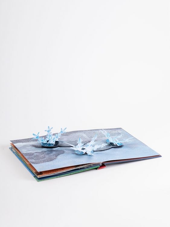Produktbild: Das Wetter. Pop-up-Buch