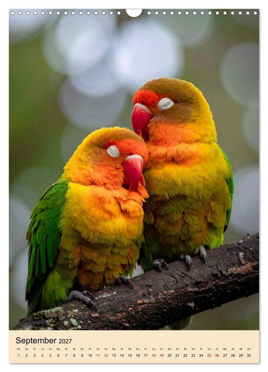 Produktbild: Lovebirds Harmonie (Wandkalender 2027 DIN A3 hoch), CALVENDO Monatskalender