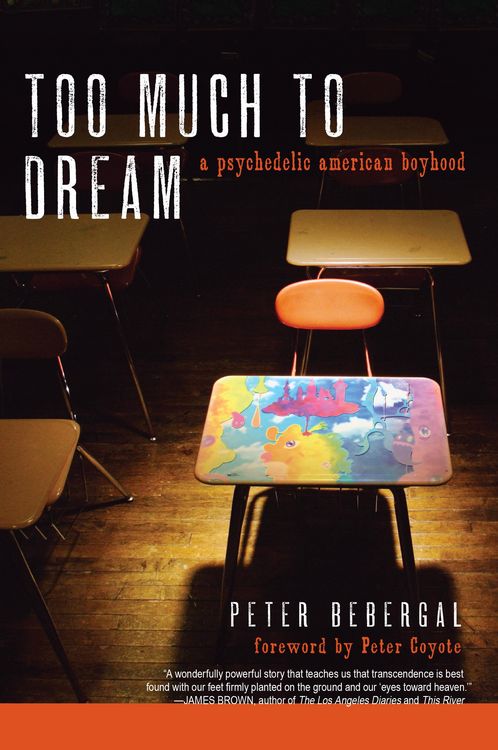 Produktbild: Too Much to Dream