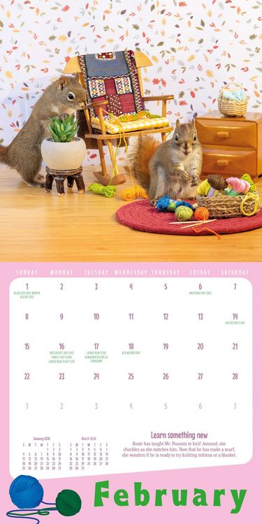 Produktbild: Secret Life of Squirrels Mini Wall Calendar 2026