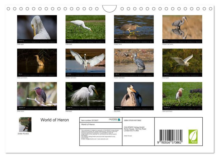Produktbild: World of Heron (Wall Calendar 2026 DIN A4 landscape), CALVENDO 12 Month Wall Calendar