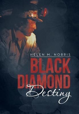 Produktbild: Black Diamond Destiny