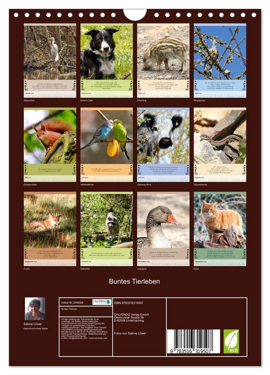 Produktbild: Buntes Tierleben (Wandkalender 2026 DIN A4 hoch), CALVENDO Monatskalender