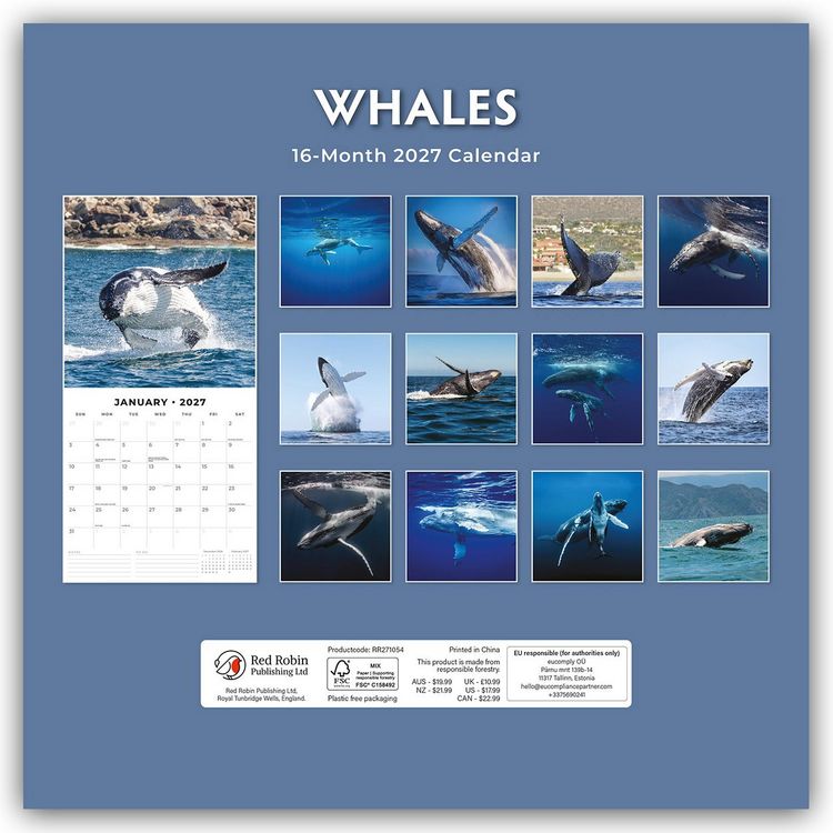 Produktbild: Whales &ndash; Wale 2027 &ndash; 16-Monatskalender