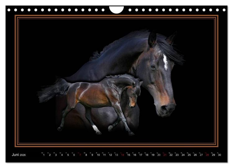 Produktbild: Traumpferde-ART-Collection (Wandkalender 2026 DIN A4 quer), CALVENDO Monatskalender