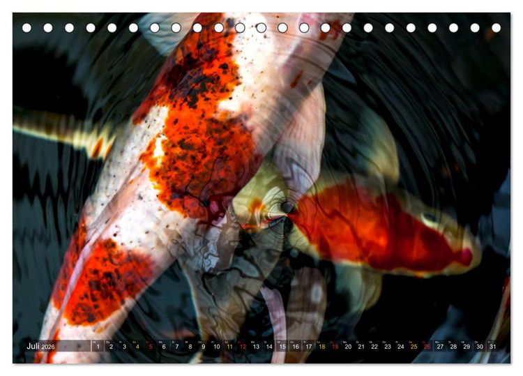 Produktbild: Nishikigoi &ndash; Koikarpfen in ihrer Welt (Tischkalender 2026 DIN A5 quer), CALVENDO Monatskalender
