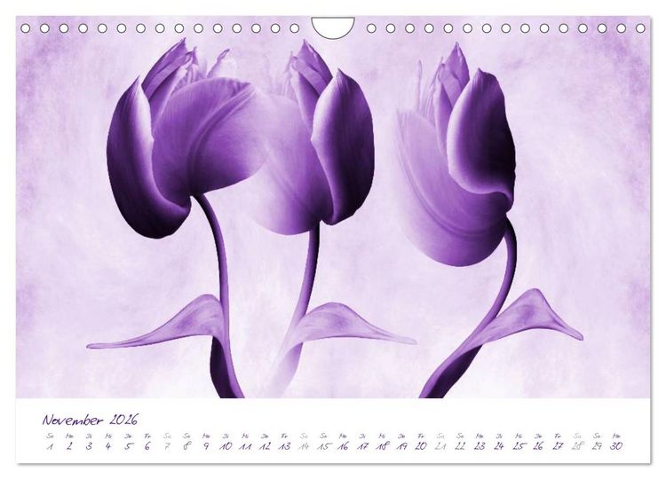 Produktbild: Lila Bl&uuml;ten (Wandkalender 2026 DIN A4 quer), CALVENDO Monatskalender