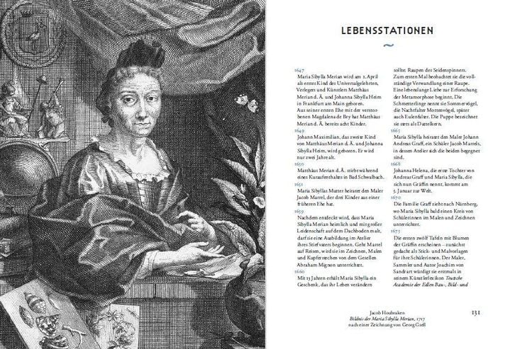 Produktbild: Maria Sibylla Merians Reise zu den Schmetterlingen