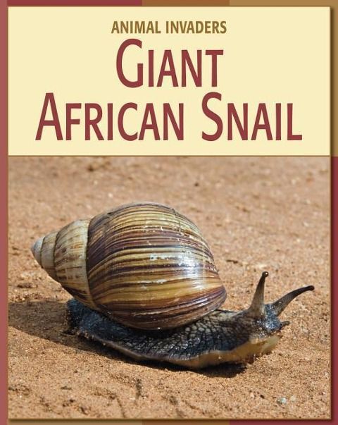 Produktbild: Giant African Snail