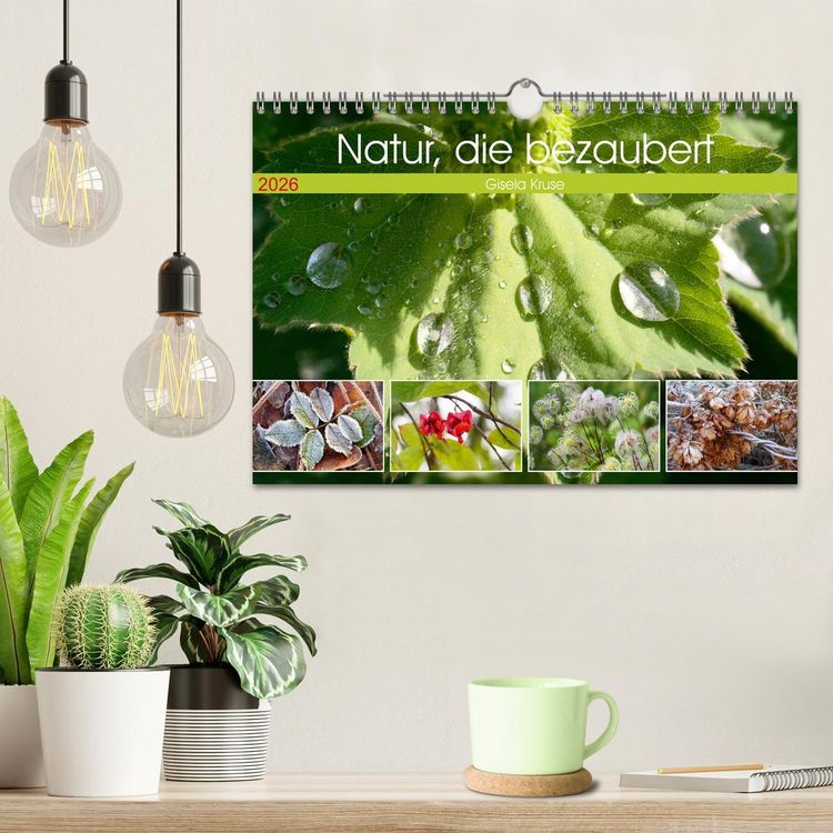 Produktbild: Natur, die bezaubert (Wandkalender 2026 DIN A4 quer), CALVENDO Monatskalender