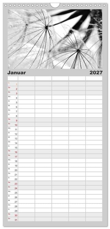 Produktbild: Familienplaner 2027 - Pusteblume - Impressionen in schwarzwei&szlig; mit 5 Spalten (Wandkalender, 21 x 45 cm) CALVENDO