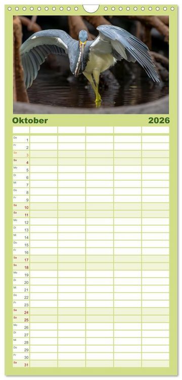 Produktbild: Familienplaner 2026 - Blaureiher und Dreifarbenreiher mit 5 Spalten (Wandkalender, 21 x 45 cm) CALVENDO