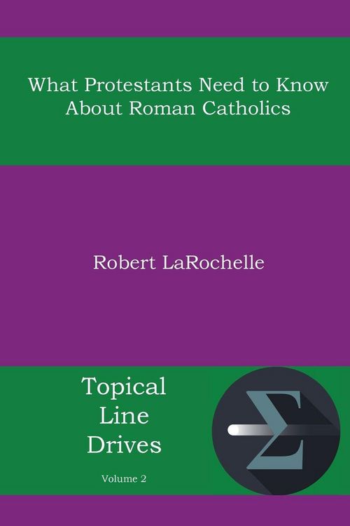 Produktbild: What Protestants Need to Know about Roman Catholics