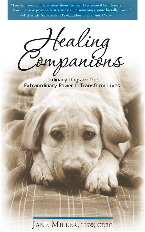 Produktbild: Healing Companions