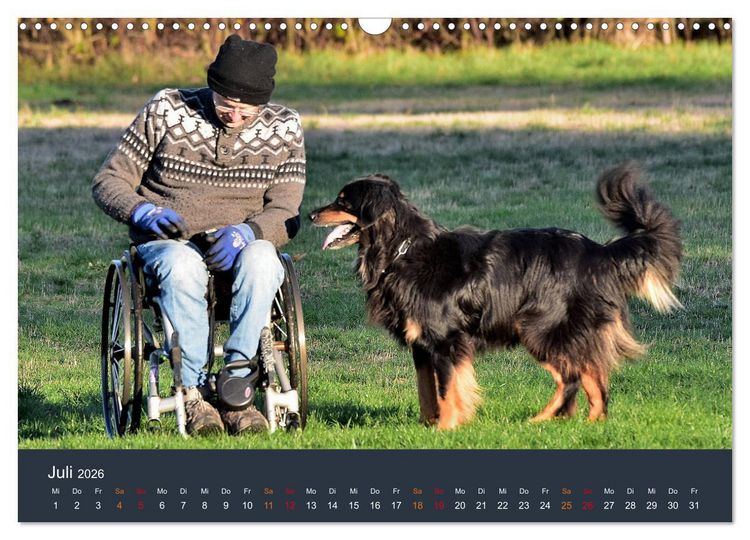 Produktbild: Ein Hovawart, ein Wachhund (Wandkalender 2026 DIN A3 quer), CALVENDO Monatskalender