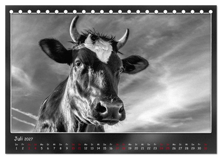 Produktbild: Tieren ins Gesicht geschaut (Tischkalender 2027 DIN A5 quer), CALVENDO Monatskalender