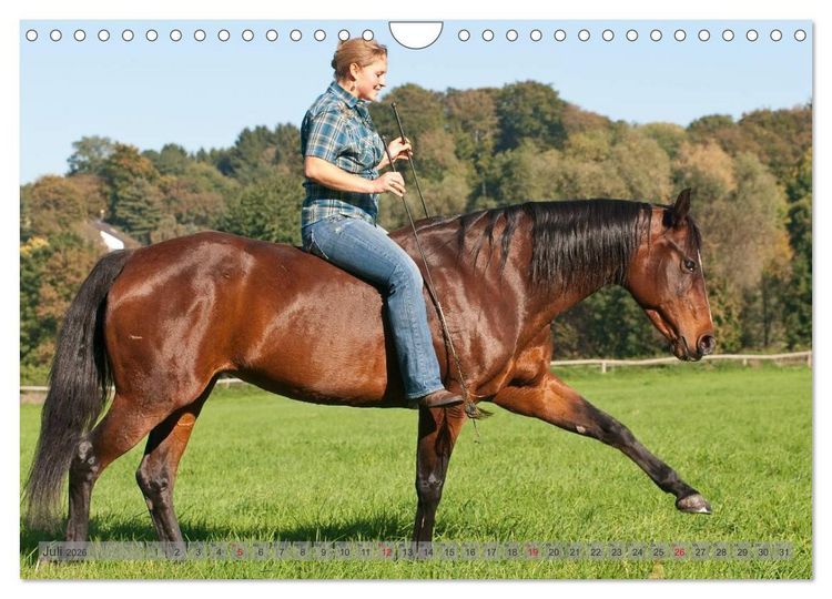 Produktbild: Natural Horsemanship - Partnerschaft mit Pferden (Wandkalender 2026 DIN A4 quer), CALVENDO Monatskalender