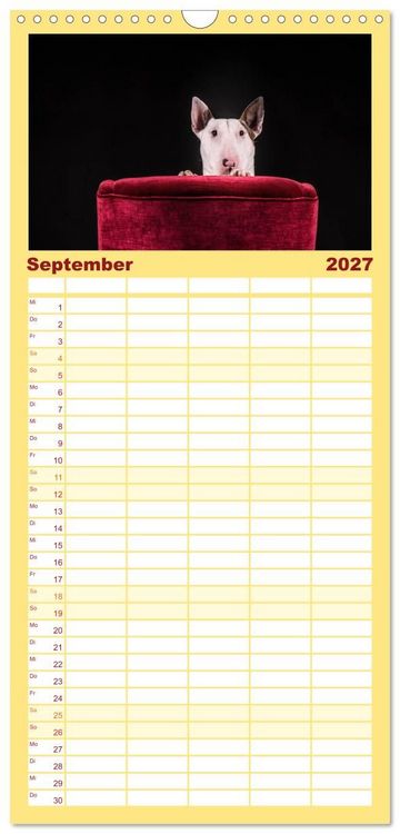 Produktbild: Familienplaner 2027 - Bullterrier mit 5 Spalten (Wandkalender, 21 x 45 cm) CALVENDO