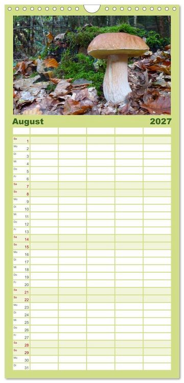 Produktbild: Familienplaner 2027 - Pilzkalender mit 5 Spalten (Wandkalender, 21 x 45 cm) CALVENDO
