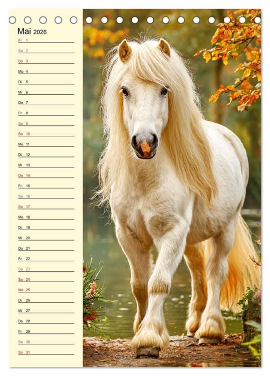 Produktbild: Zauber der Ponys. Kleine Pferde in der Natur (Tischkalender 2026 DIN A5 hoch), CALVENDO Monatskalender
