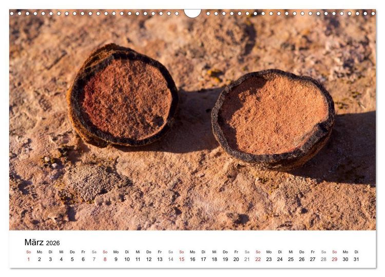 Produktbild: Felsen und Steine in fantastischen Farben und Formen (Wandkalender 2026 DIN A3 quer), CALVENDO Monatskalender