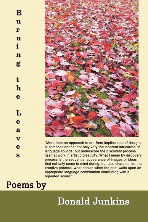 Produktbild: Burning the Leaves