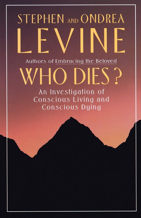 Produktbild: Who Dies?
