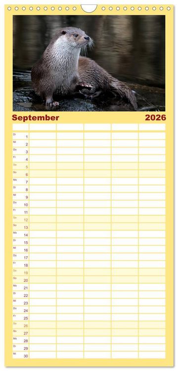 Produktbild: Familienplaner 2026 - Fischotter, flinke J&auml;ger mit 5 Spalten (Wandkalender, 21 x 45 cm) CALVENDO