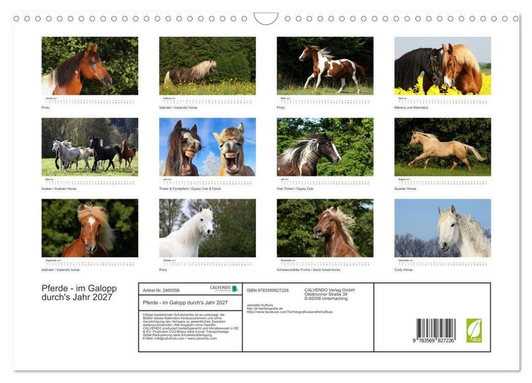 Produktbild: Pferde - im Galopp durch's Jahr 2027 (Wandkalender 2027 DIN A3 quer), CALVENDO Monatskalender