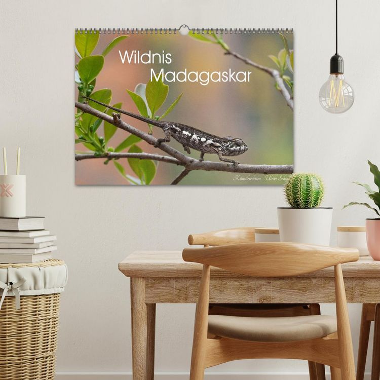 Produktbild: Wildnis Madagaskar (Wandkalender 2027 DIN A3 quer), CALVENDO Monatskalender