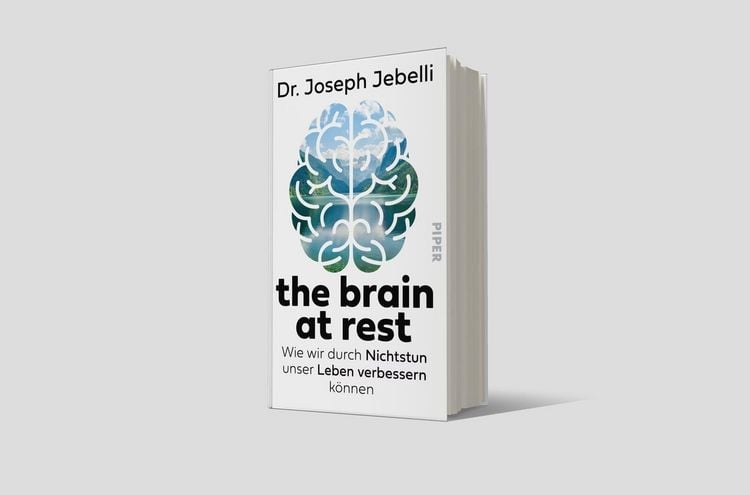 Produktbild: The brain at rest