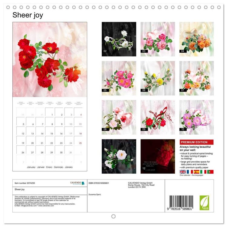 Produktbild: Sheer joy (Wall Calendar 2026 12 &times; 12 Inch) CALVENDO 12 Month Wall Calendar