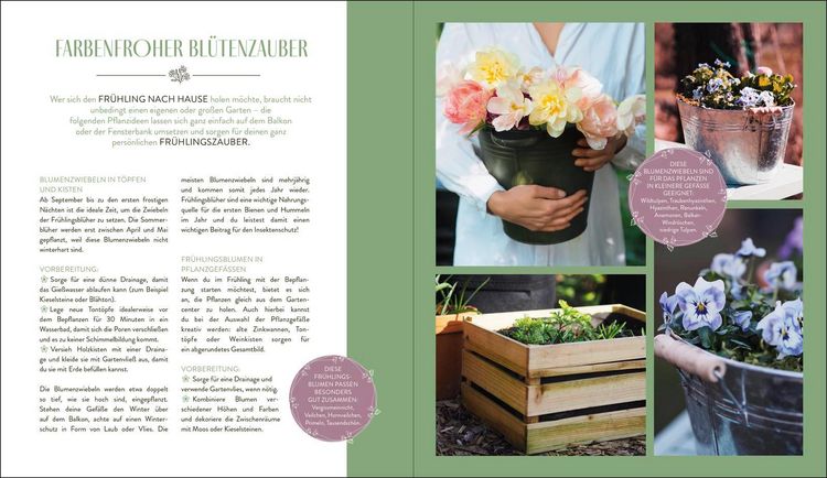 Produktbild: In meinem Garten bl&uuml;ht das Gl&uuml;ck