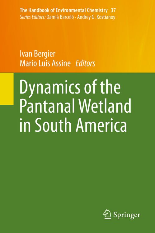 Produktbild: Dynamics of the Pantanal Wetland in South America