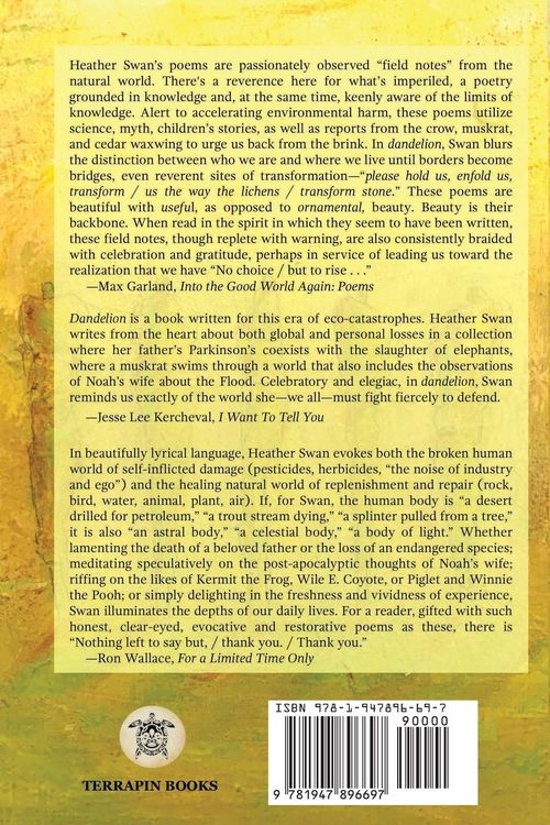 Produktbild: Dandelion