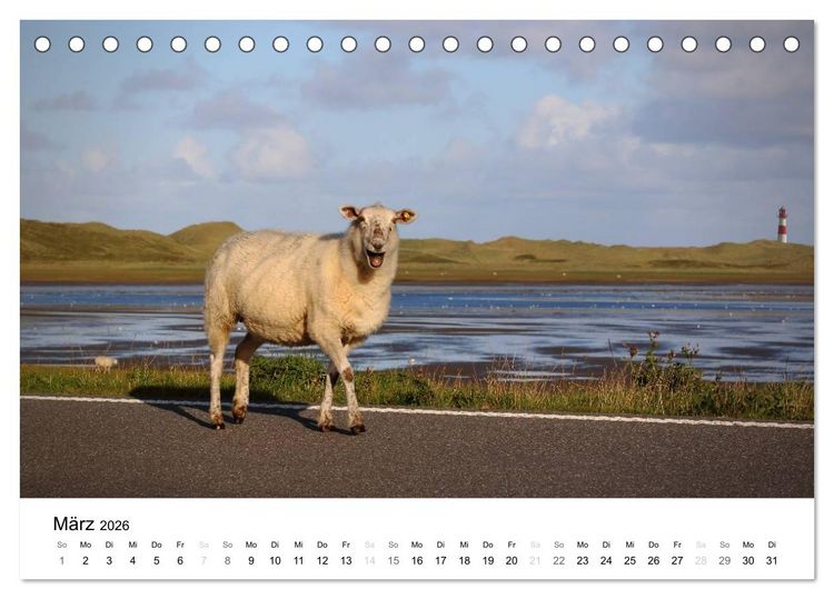 Produktbild: Sylt, der nordfriesische Inseltraum (Tischkalender 2026 DIN A5 quer), CALVENDO Monatskalender