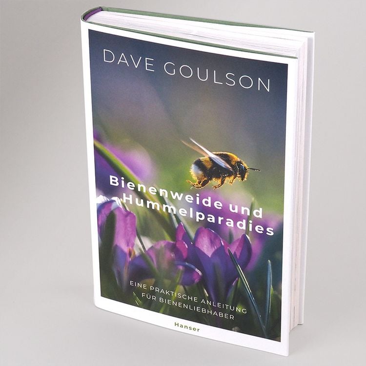 Produktbild: Bienenweide und Hummelparadies