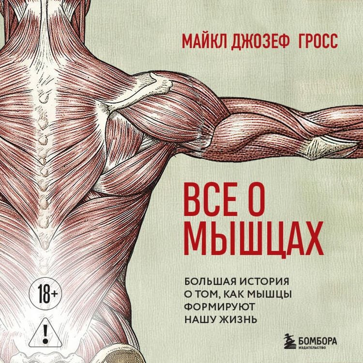 Produktbild: Vse o myshtsah. Bolshaya istoriya o tom, kak myshtsy formiruyut nashu zhizn