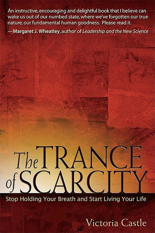 Produktbild: The Trance of Scarcity
