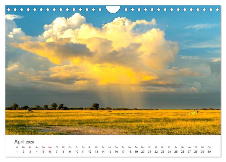 Produktbild: Botswana - Grandiose Wildnis (Wandkalender 2026 DIN A4 quer), CALVENDO Monatskalender