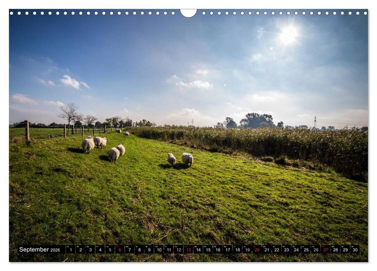 Produktbild: Sch&ouml;nes Ostfriesland (Wandkalender 2026 DIN A3 quer), CALVENDO Monatskalender